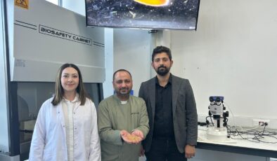 Sivas’ta Yetiştirilen Zeron Buğdayından Organik Bulgur Üretildi