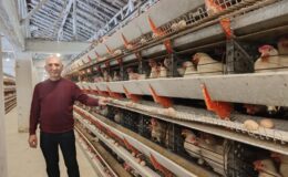 Kütahya Si̇mav’in Kuşu Beldesi̇nde 16 Bi̇n Tavukla Yumurta Üreti̇mi̇ Başladı