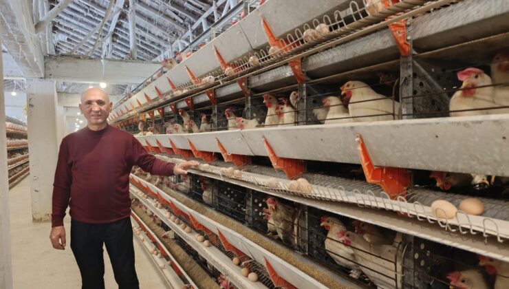 Kütahya Si̇mav’in Kuşu Beldesi̇nde 16 Bi̇n Tavukla Yumurta Üreti̇mi̇ Başladı
