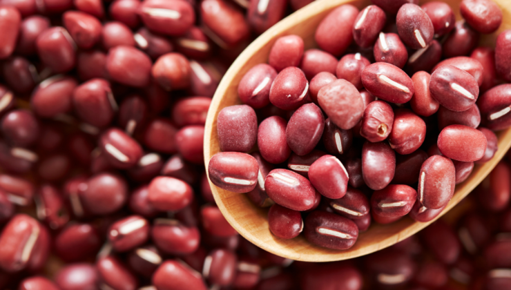 Kuru Fasulye Krizi Yalanı: Resmî Açıklama ile Dezenformasyon Çürütüldü