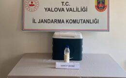 Yalova’da 5 Milyon Dolarlık Akrep Zehri Ele Geçirildi