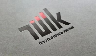 TÜİK 2025 Yılı Sanayi Ve Hizmet İstatistiklerini Açıkladı